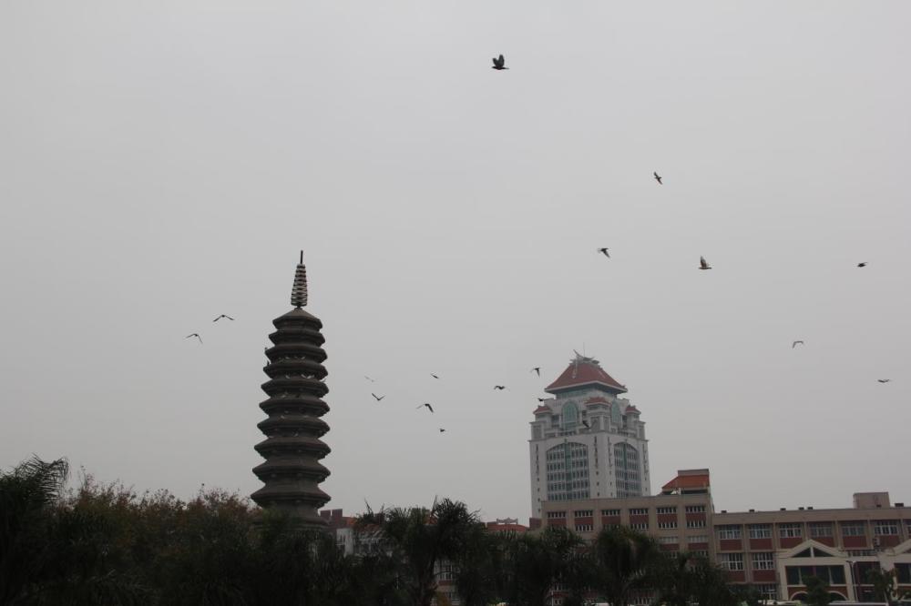哈尔滨户籍人口_哈尔滨人口图片(2)