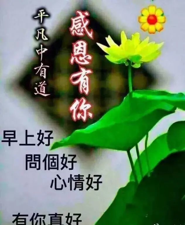 2021早上好表情包早安吉祥感恩有您