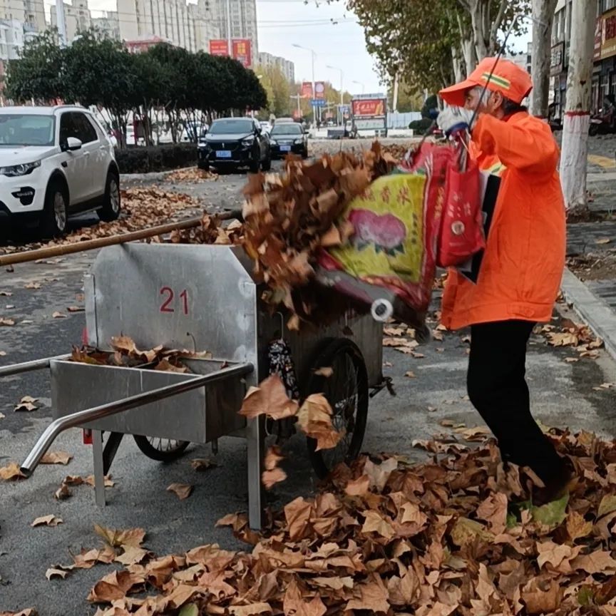 【点赞】寒风中,商城县这些清洁工是城市最美的风景线.