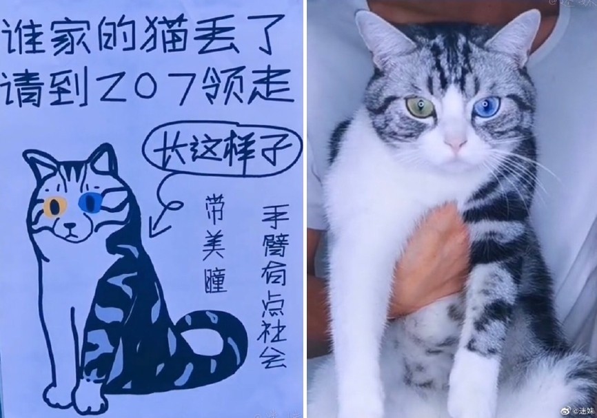 原本以为乱画的寻猫启事,没想到是神还原