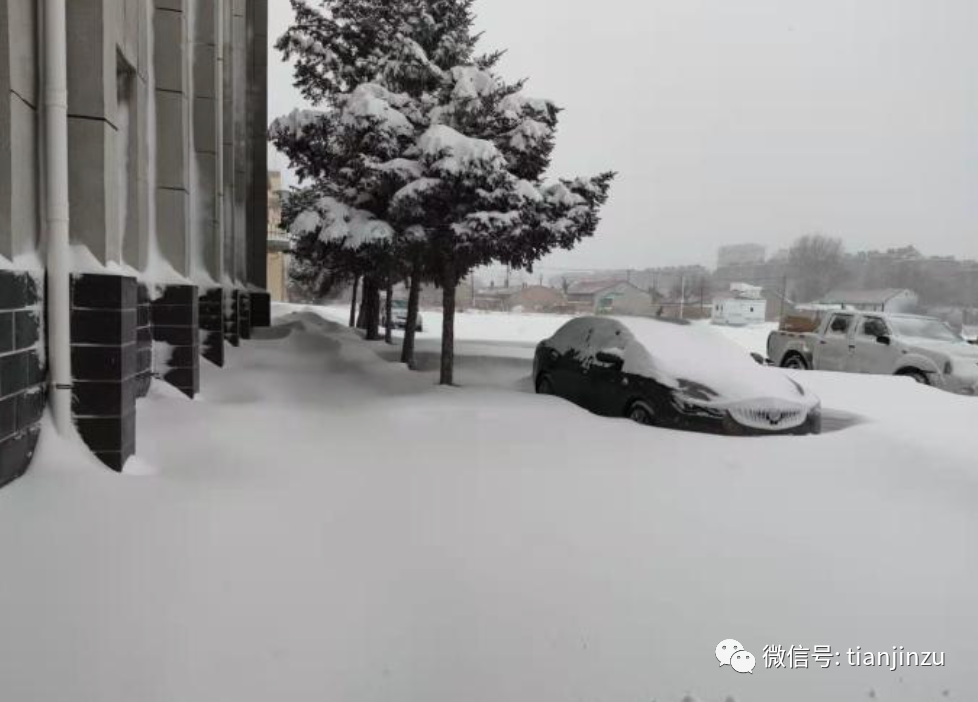 特大暴雪!天津正式入冬!这里迎来第一场雪