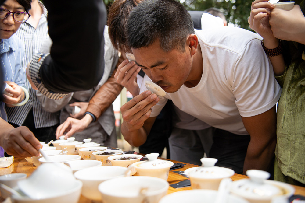 斗茶 腾讯网