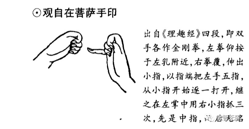 观音部手印以及真言三秘密珍藏版圣观音千手观音金刚法菩萨的真言手印