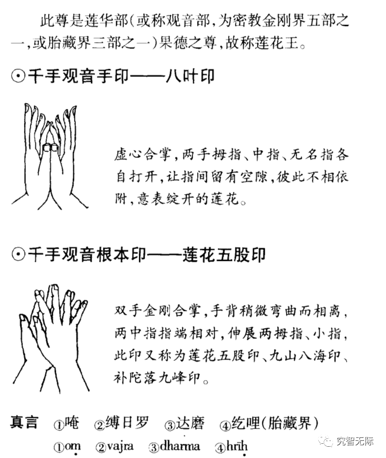 观音部手印以及真言三秘密珍藏版圣观音千手观音金刚法菩萨的真言手印