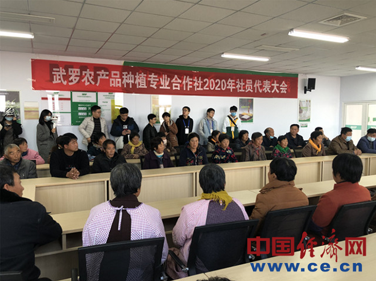 经济日报-中国经济网记者王茂林摄