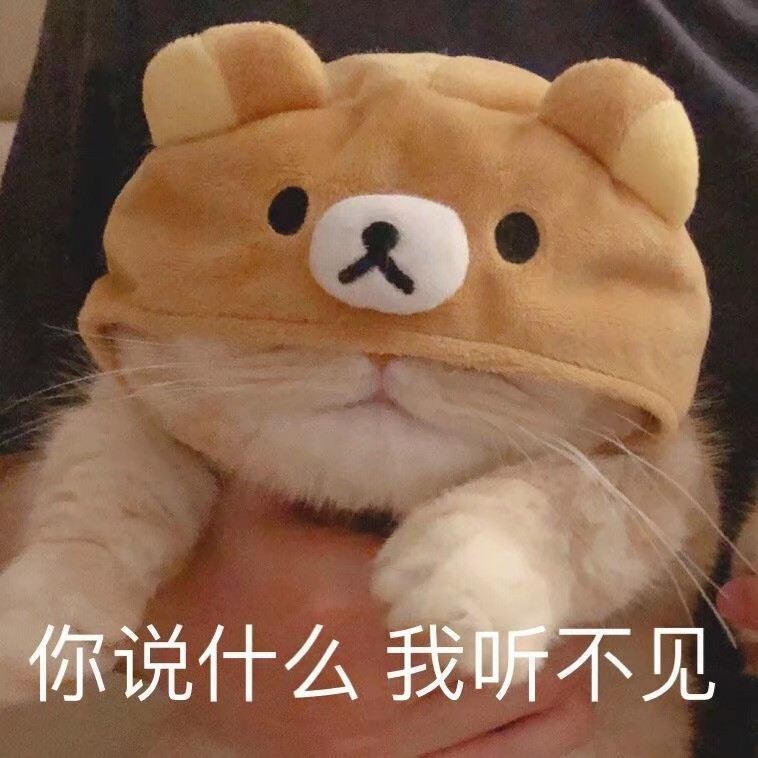 猫猫可爱表情包冰冷的心没有火花终将散落尘世