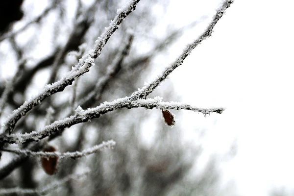 春有百花,秋有月,夏有凉风,冬有雪.四季轮回,万物使然.