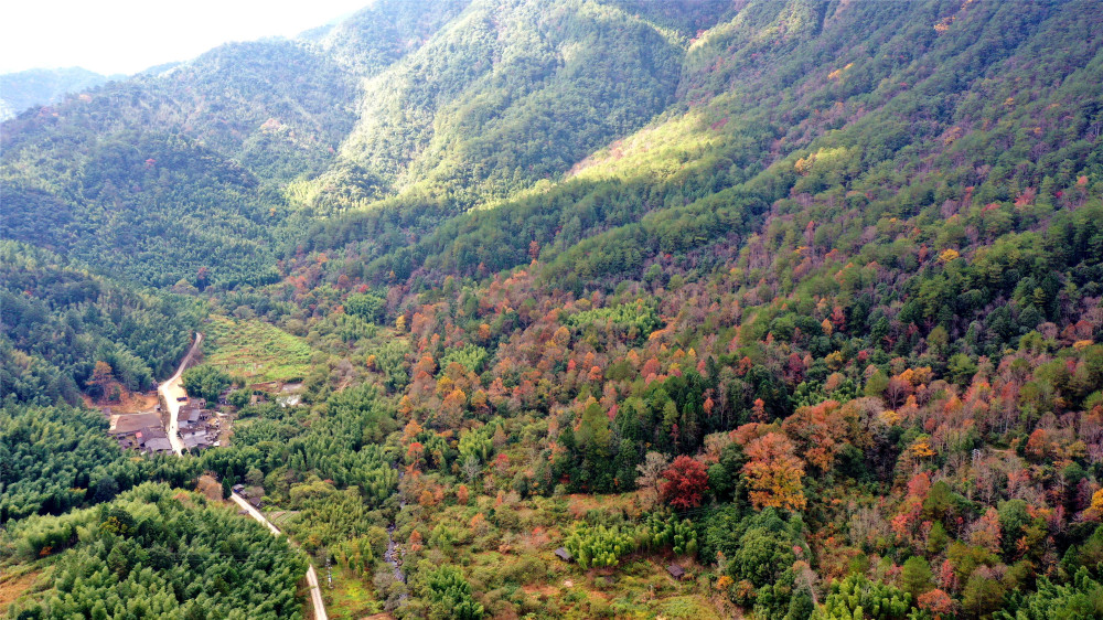 (美丽中国)(12)福建将乐:大美龙栖山