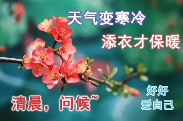 中老年表情包,聊天动态带字图片早上好祝福,天气变寒冷,添衣才保暖!