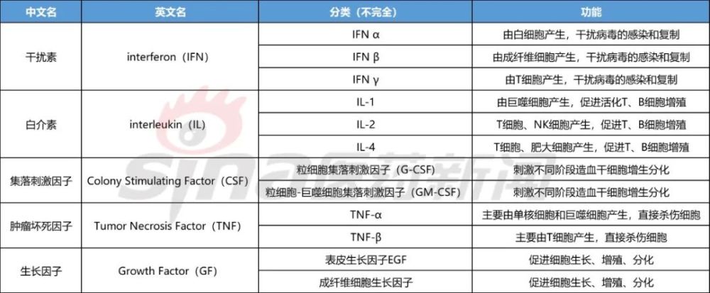 表1 细胞因子的分类及功能细胞因子可分为干扰素,白介素,集落刺激因子