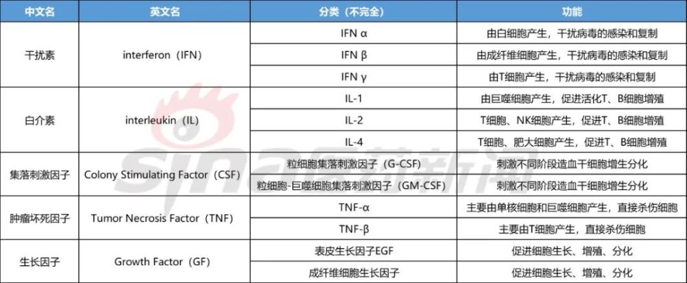 表1 细胞因子的分类及功能 干扰素(ifn,interferon)主要用于干扰病毒