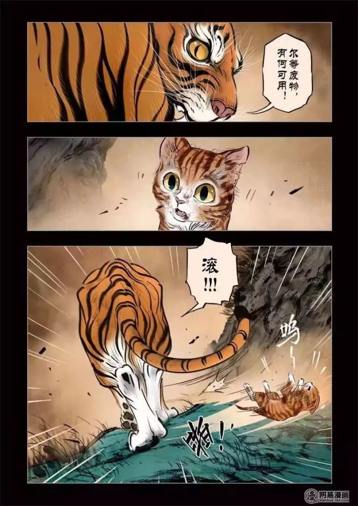 人性漫画,想修成老虎的灵猫