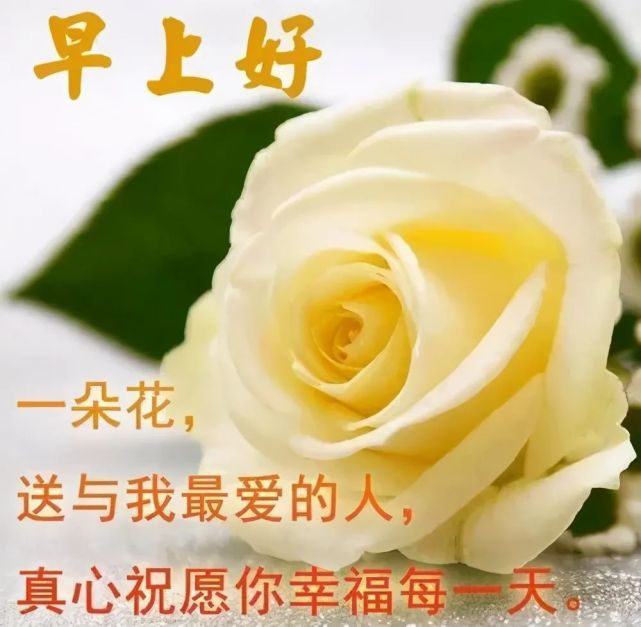 8月28日周六最新早上好问候祝福动态表情图片 最新语