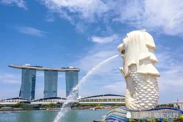 世界的人口面积排名2020_世界城市人口排名2020(3)