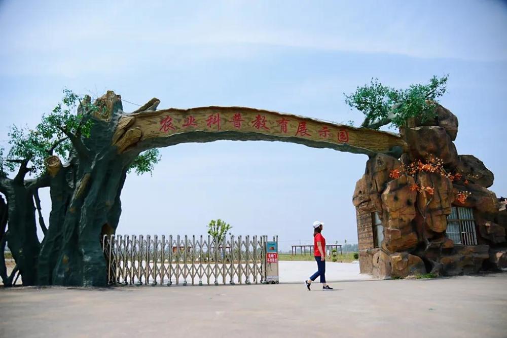 丰县首羡镇gdp_丰县首羡初中