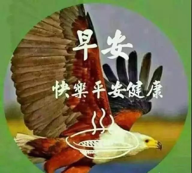 2021最新早上好问候图片动态带字,最美早上好问候语动态图片