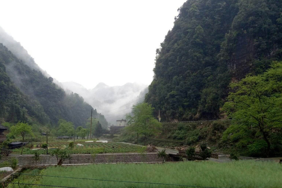 桑植城区人口_桑植未来城区规划图(2)