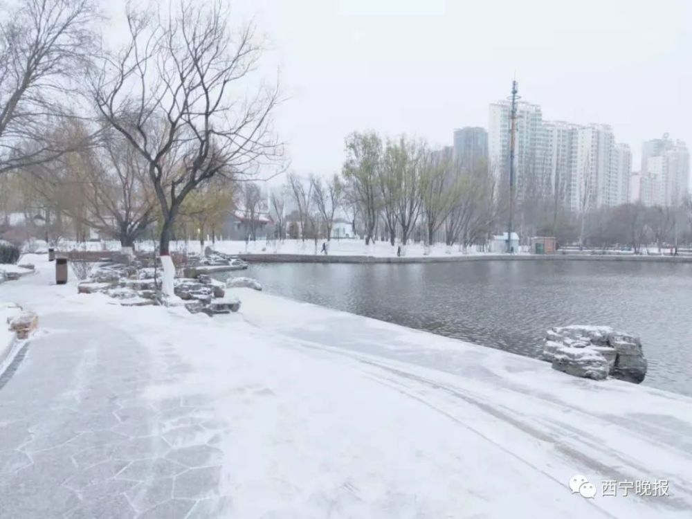 西宁的这场雪,真大!