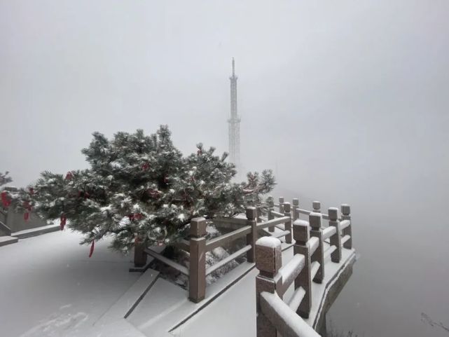 临沂下雪啦!蒙山迎来2020入冬第一场雪,银装素裹宛如仙境!
