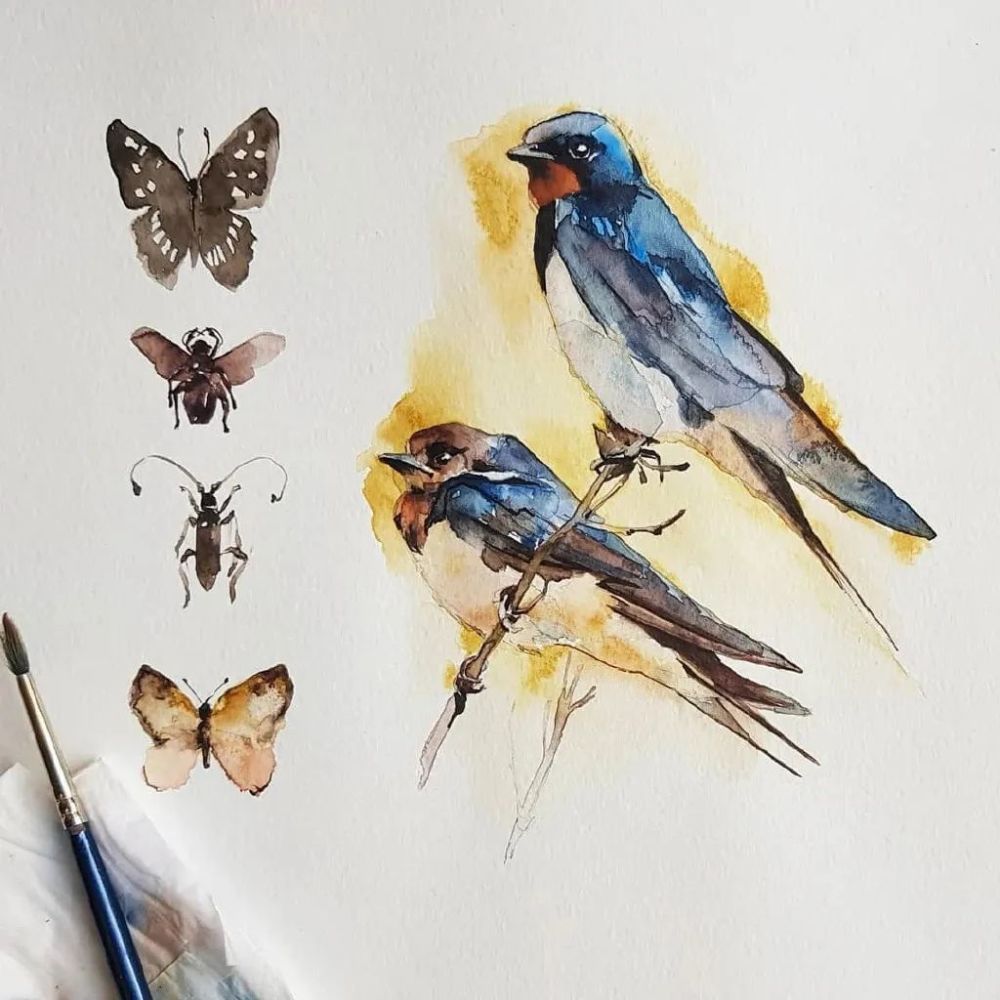 水彩画欣赏很有意境的飞鸟小插画适合临摹