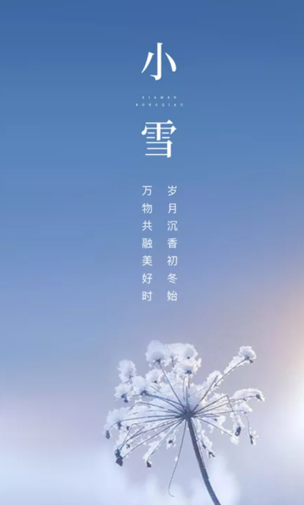 寂寥小雪闲中过,斑驳轻霜鬓上加. 算得流年无奈处,莫将诗句祝苍华.