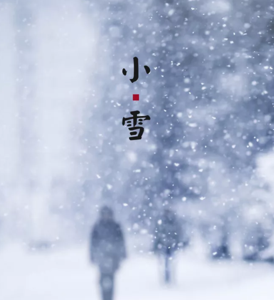 【诗词鉴赏】古诗词里的小雪,一片飞来一片寒!