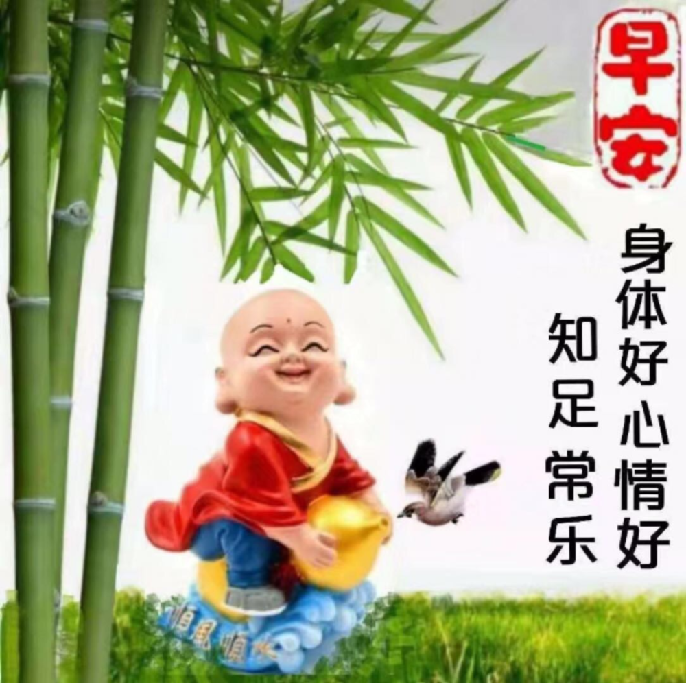 6张漂亮观音菩萨早上好带字图片大全 保佑身体健康万事如意平安吉祥!