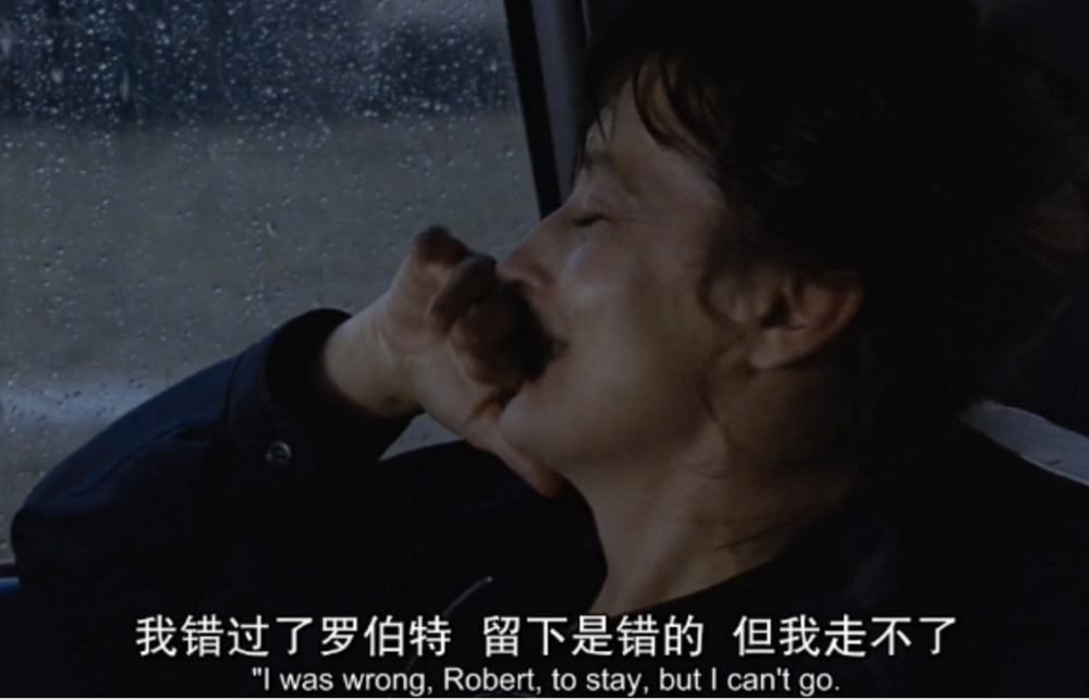 《廊桥遗梦》:理智与爱情的博弈,直击中年女人的痛点