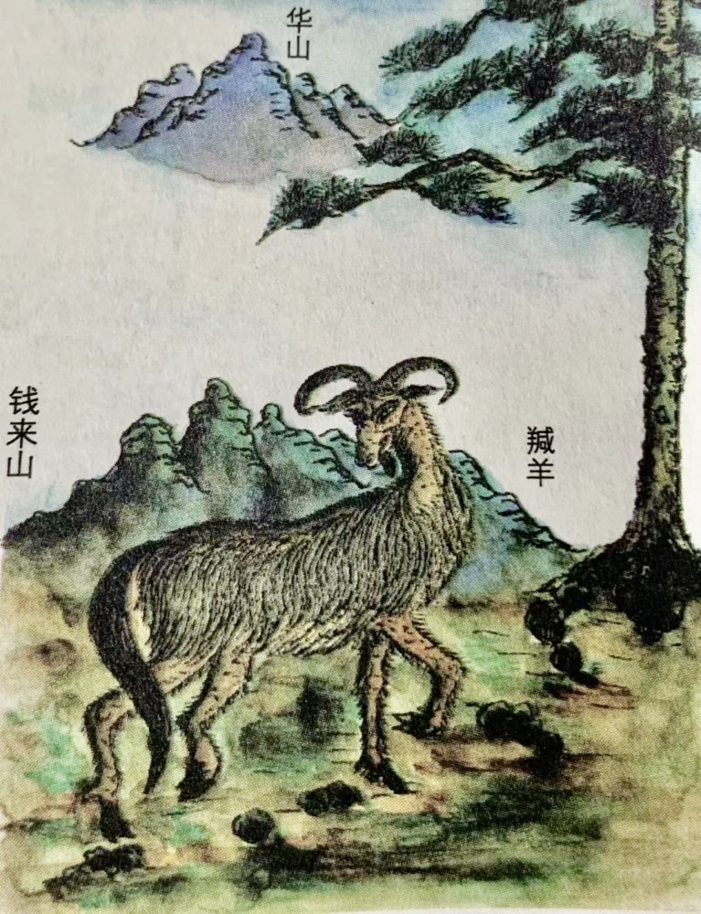 研究《山海经》三十余年,他们重现了4000年前的华夏地貌