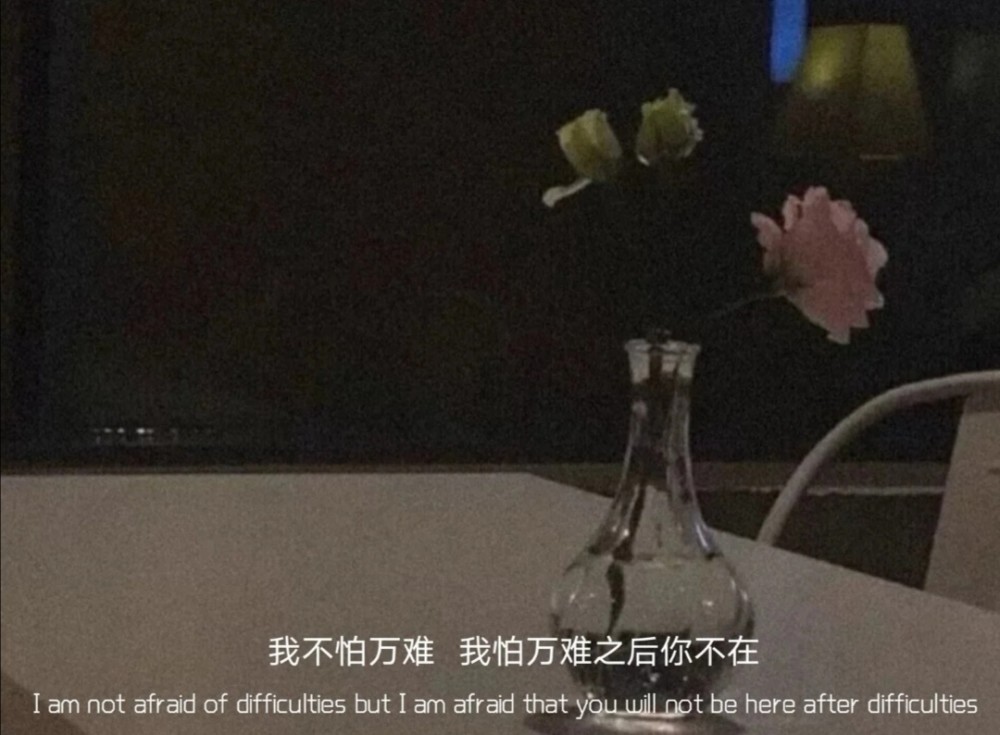 深夜崩溃的伤感文案