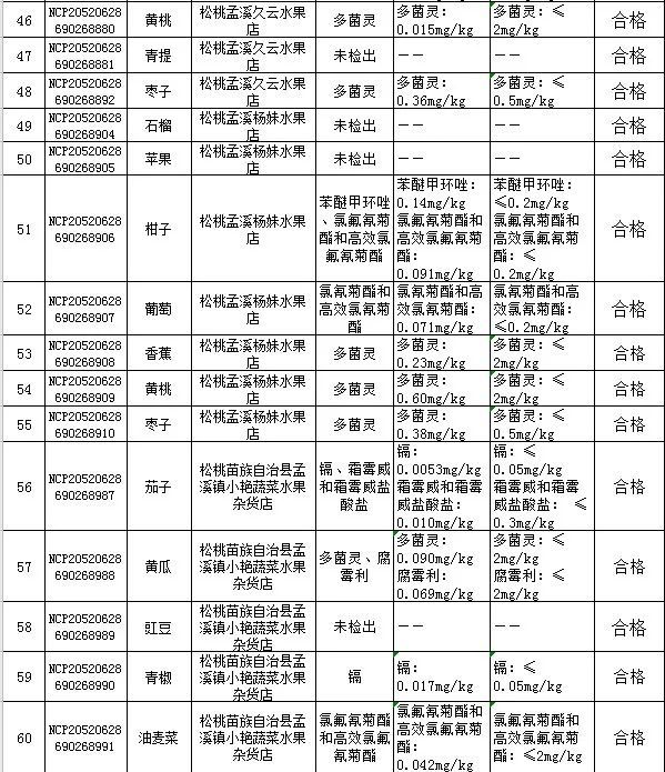 2020年松桃县GDP_松桃苗族自治县2020年经济社会发展情况汇报会召开