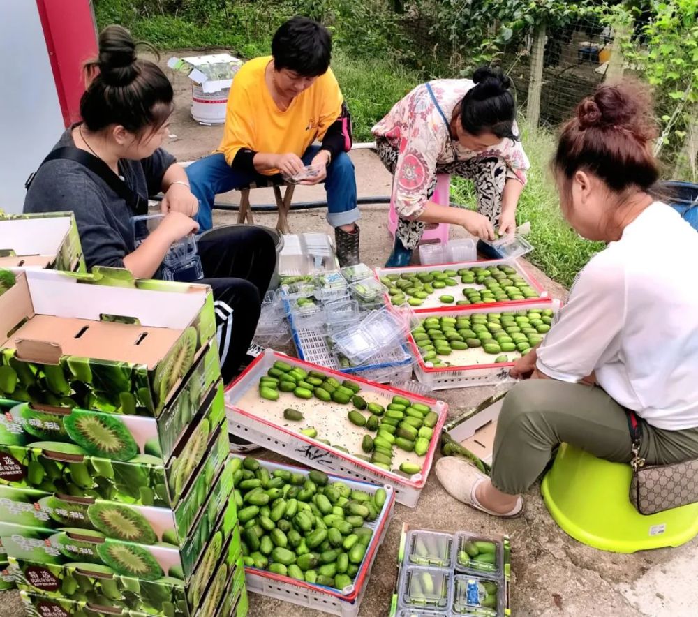 莫荣促进贫困人口稳定就业_就业促进周系列活动(2)