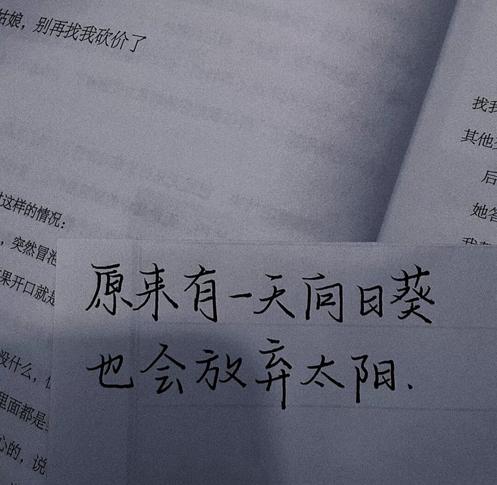 别怕我伤心简谱完整版_别怕我伤心简谱(3)