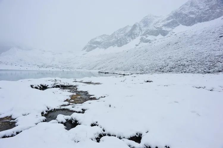 下雪了的唯美心情说说,关于雪景的说说句子大全