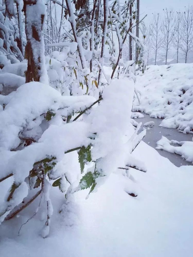 班得瑞《雪的梦幻》,轻柔的倾诉