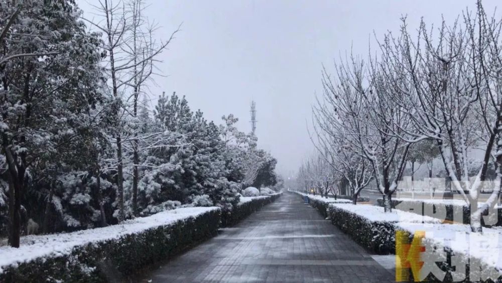 西安大雪纷飞,今冬异常寒冷?解释来了