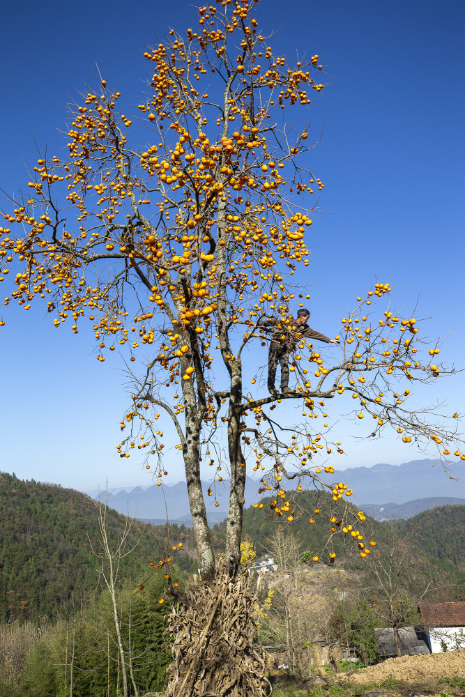 建始县红岩寺镇gdp_打印 建始县红岩寺镇民族小学将少数民族传统体育项目融入运动会 恩施州政务网站群