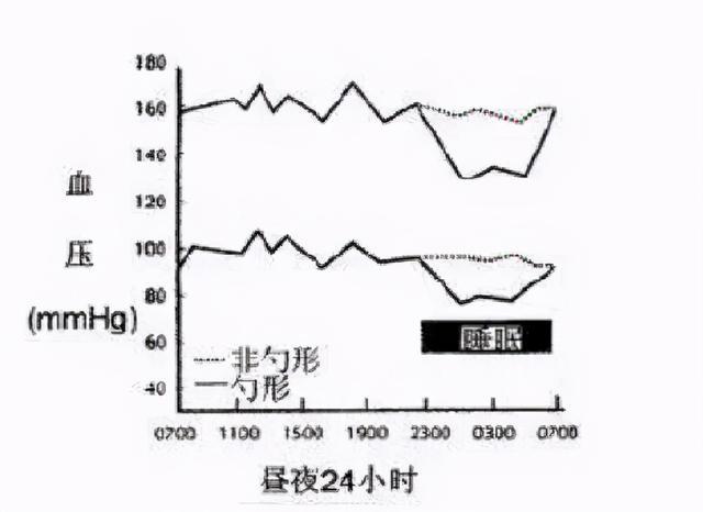 人体血压存在明显的昼夜波动特征,收缩压和舒张压都在24小时内动态