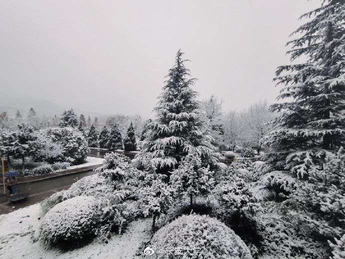 西安雪景美图丨美院雪是写给人间的诗唐三藏我冷