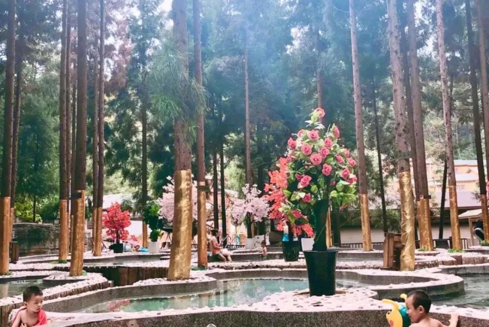 贵阳观山湖区金华镇GDp_贵阳观山湖区公园地图(3)