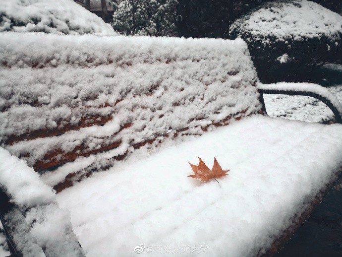 西安雪景美图 雪是写给人间的诗 唐三藏:我冷