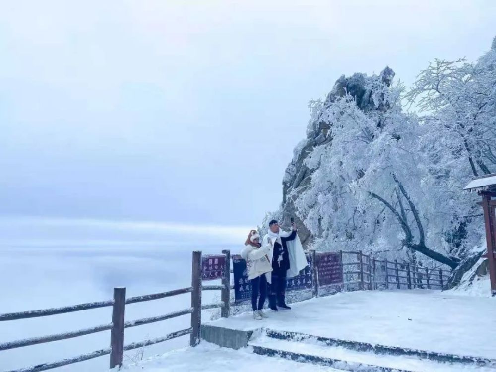 老君山景区内共有100余家不同档次的酒店,民宿,农家宾馆等,主要分布