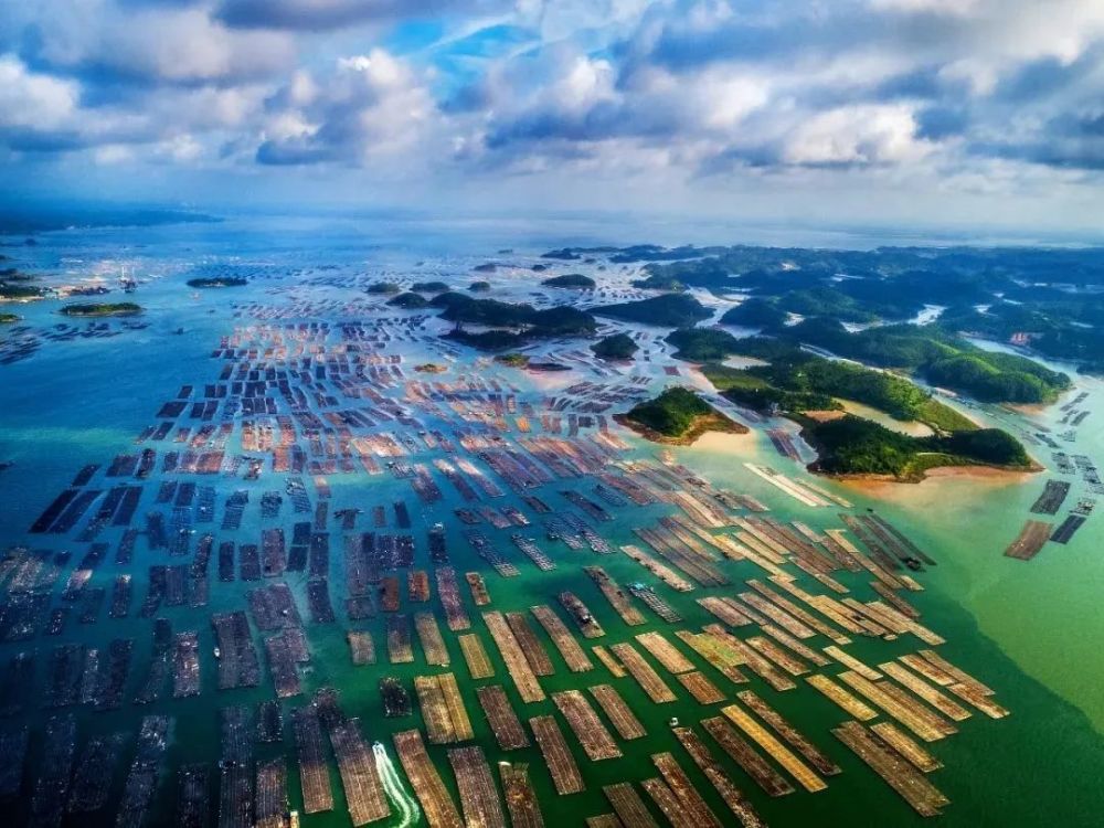 三亚人口2021年有多少_2021年三亚机场图片
