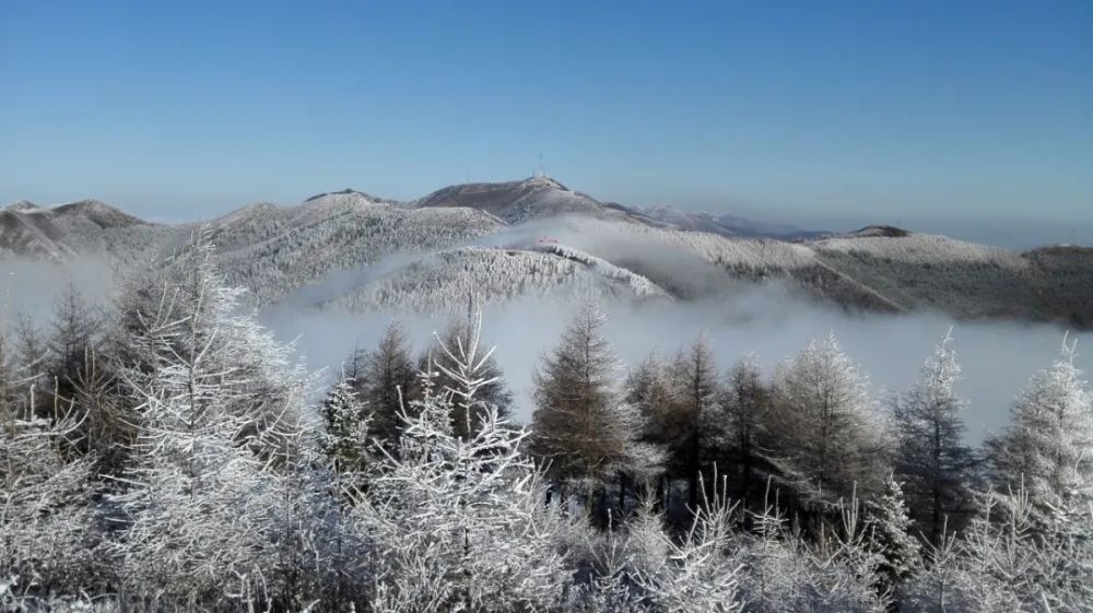 六盘山的雪遇见六盘遇见晴美丽动人不冻人