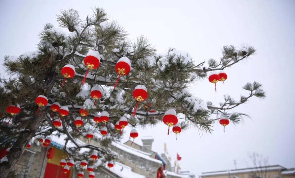 飞雪迎新来瑞雪兆丰年