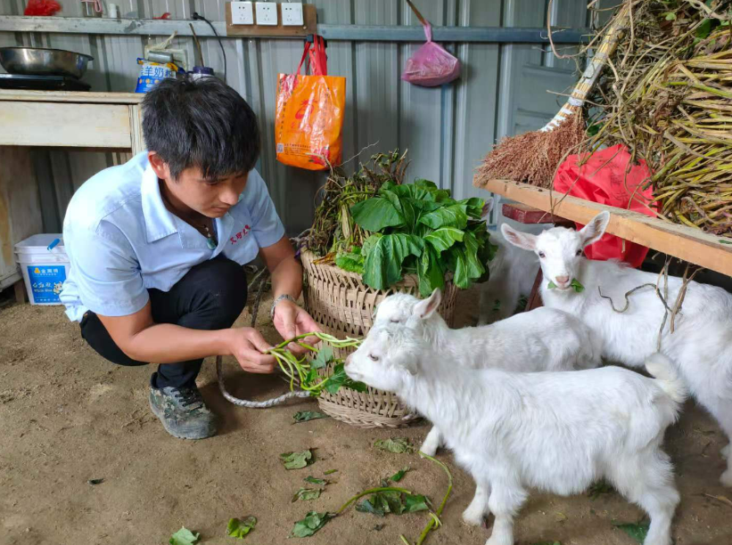 曹烜:90后"羊倌"单腿趟出脱贫路