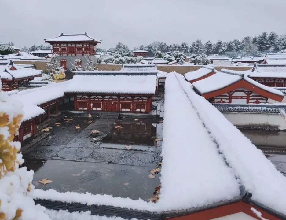 啾啾 1小时前来自iphone客户端 一下雪,西安成了古长安