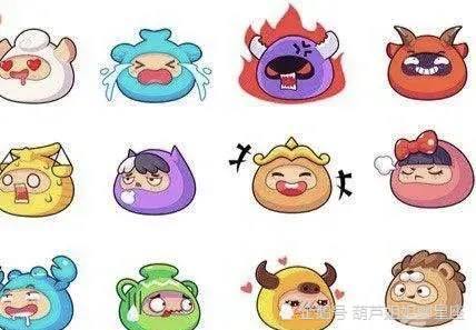 11月24日是什么星座（农历11月24日是什么星座）