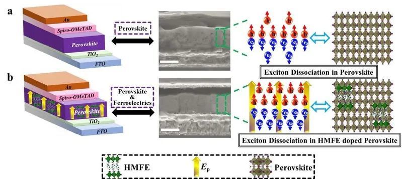 苏大邹贵付团队分子铁电驱动的高性能钙钛矿太阳能电池
