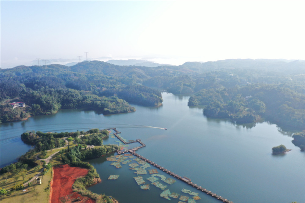 四川纳溪凤凰湖村:民风淳朴,产业兴旺,物美人和